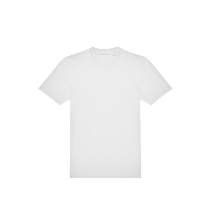 E220 - Influence T